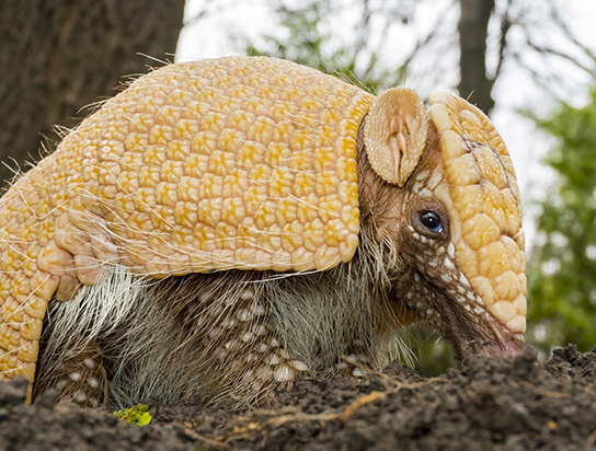 About the Exhibition